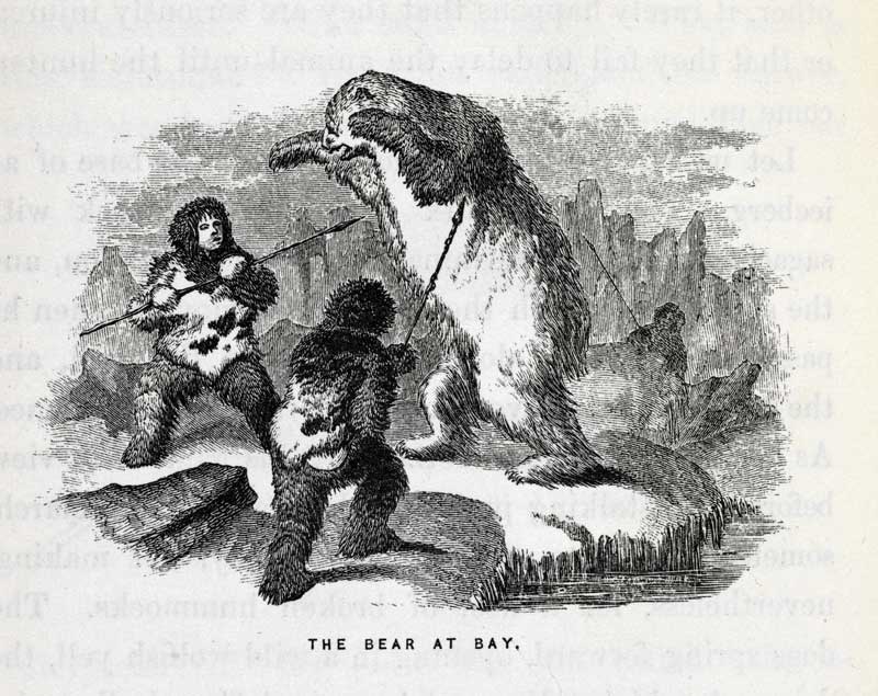 A wood engraving of two Inuit hunters armed with spears, cornering and attacking a polar bear, rearing on its hind legs, upon a snowy riverbank.