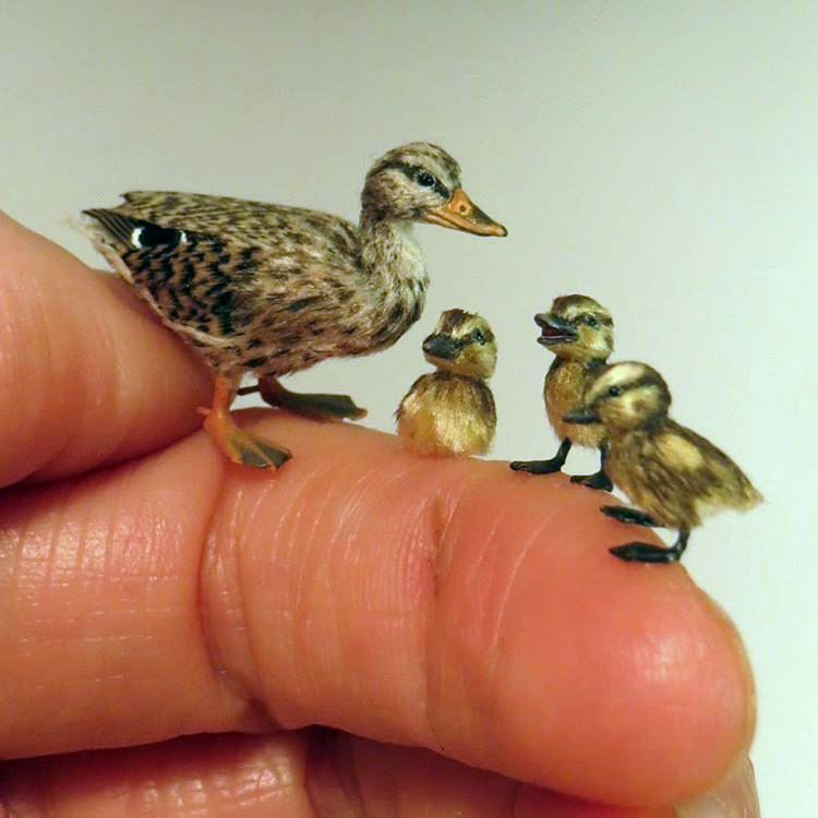 A miniature mother duck and three ducklings, all only as large as the last two knuckles of Fanni's finger.