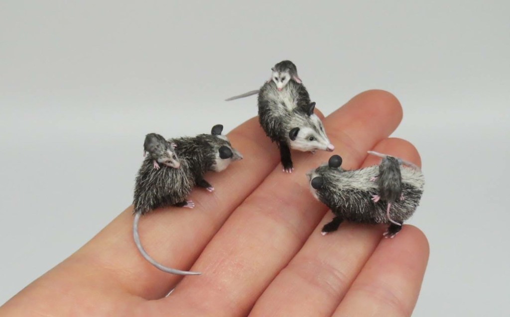 Miniatures: Fanni Sándor and&nbsp;Qimmyshimmy