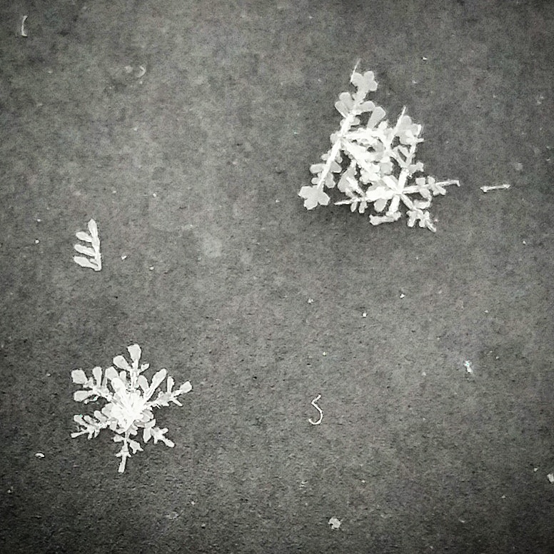 Extreme closeup of snowflake fragments on a gray background.