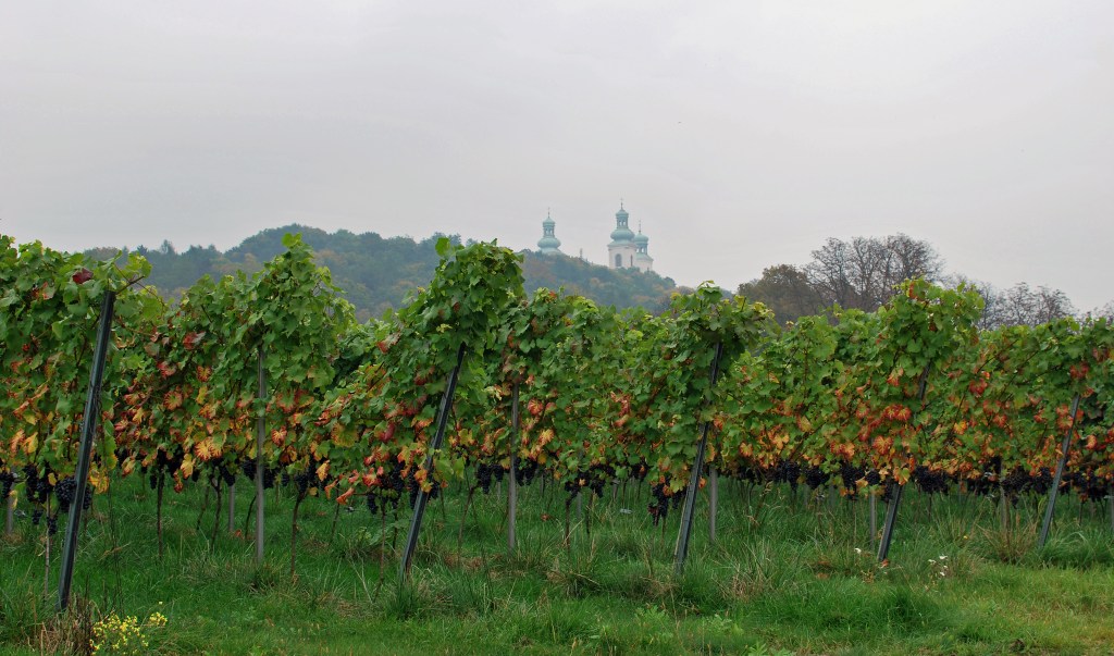 The Celebrated Single-Step&nbsp;Press