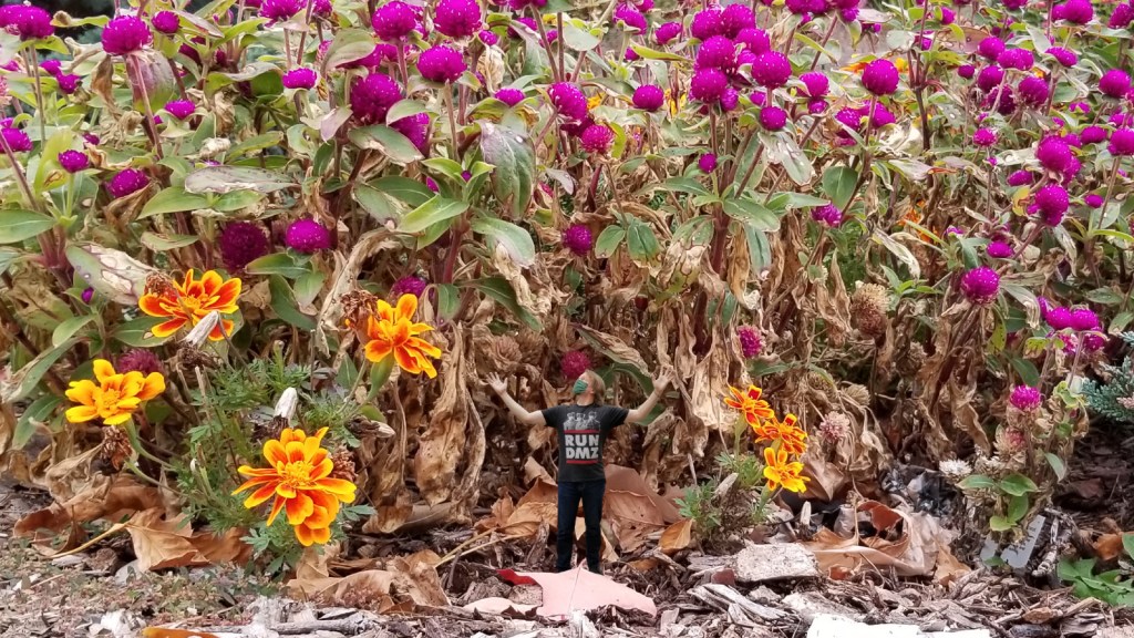 Whip Up Your Own Size&nbsp;Collage