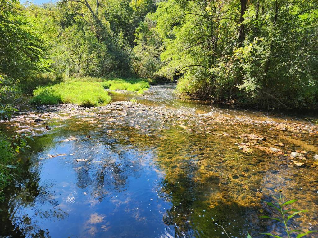 TNS: Embrace the Thrill Within Your&nbsp;Reach