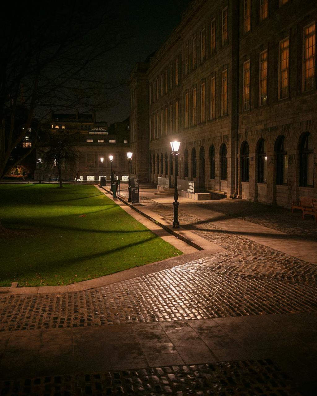 Farmers Market, pt.&nbsp;6